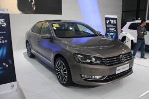 帕薩特領(lǐng)馭圖片
