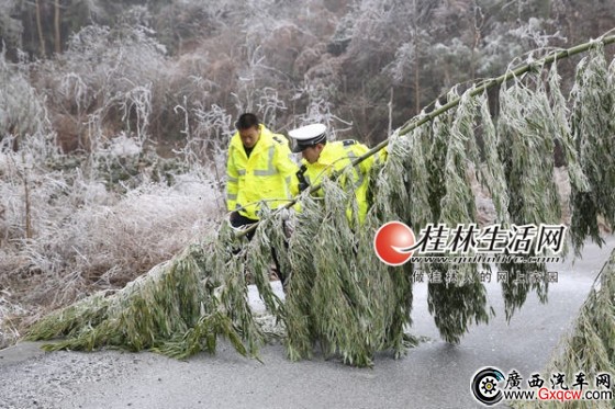 桂林供電局輸電運維人員行進在冰凌中。